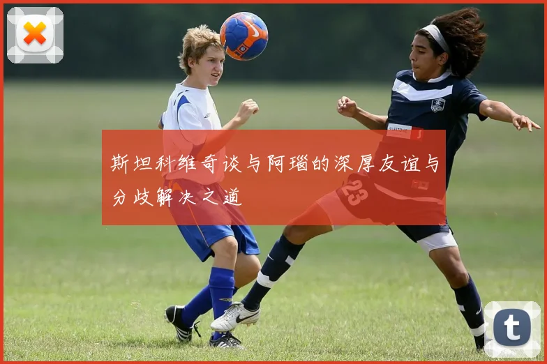 斯坦科维奇谈与阿瑙的深厚友谊与分歧解决之道